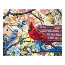 Kit point de croix - LetiStitch L8062 - Oiseaux chanteurs printaniers - Aida 16ct - 57 couleurs
