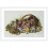 Merejka Kit de broderie Champignons 1