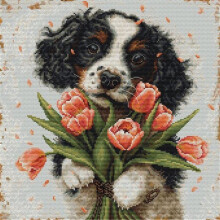 Kit de broderie - LUCA-S - Le chiot Cocker Spaniel - Aida 16 - 47 couleurs - 27x27 cm