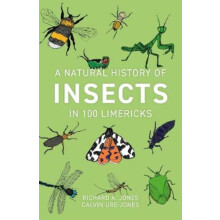 A Natural History of Insects in 100 Limericks by Richard Jones Paperba