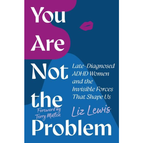 You Are Not the Problem by Liz Lewis Paperback Book