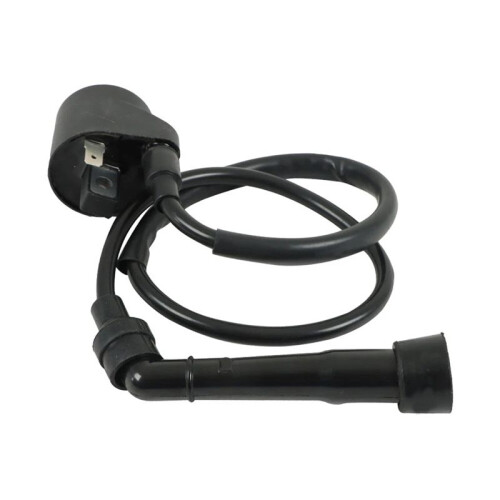 3089613 Ignition Coil  CDI Box Fit for   500 2005-2007 2