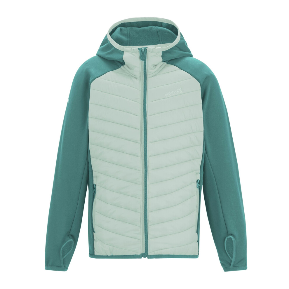 Regatta (4-5 Years, Ivy Moss/Ocean Mist) Childrens/Kids Andreson Hybrid Padded Jacket