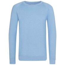 (11-12 Years, Sky Blue) Awdis Childrens/Kids Academy Raglan Sweatshirt