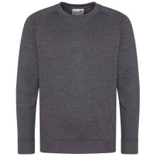 (13 Years, Charcoal) Awdis Childrens/Kids Academy Raglan Sweatshirt