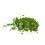 Thé vert Matcha instantané 50 sticks 2