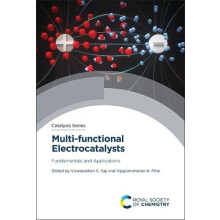 Multifunctional Electrocatalysts Fundamentals and Applications Hardcov