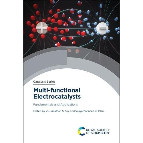 Multifunctional Electrocatalysts Fundamentals and Applications Hardcov