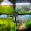 Aquarium UV Light with Timer 360Protective Shield Clean Light for Green Water Algae Clean Algae Control Lamp EU Plug 3W 4
