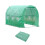 Aoodor Greenhouse Replacement Cover 3X2.1X2.1m 2