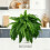 23.62 Inch Fern Plants X4 6