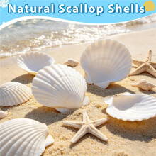 20Pcs Large Scallop Shells for Crafts, Natural White Scallop Shells for Baking, Painting, DIY Crafts, Decoupage, Beach