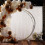 10x10ft White Tulle Backdrop Curtain with Lights String 2 Panels White Backdrop Curtains for Wedding Partie 8