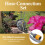 Hozelock Hozelock Hose Connection Set Garden Tap Connector 1.5m 9