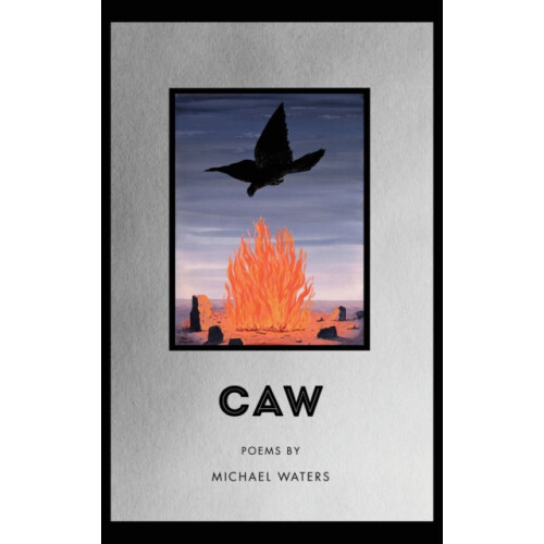 Caw by Michael Waters Hardcover Book