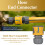 Hozelock Hozelock Soft Touch Hose End Connector Watering Fitting 8