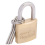 Draper Draper Redline 25mm Brass Cylinder Padlock 68020 2