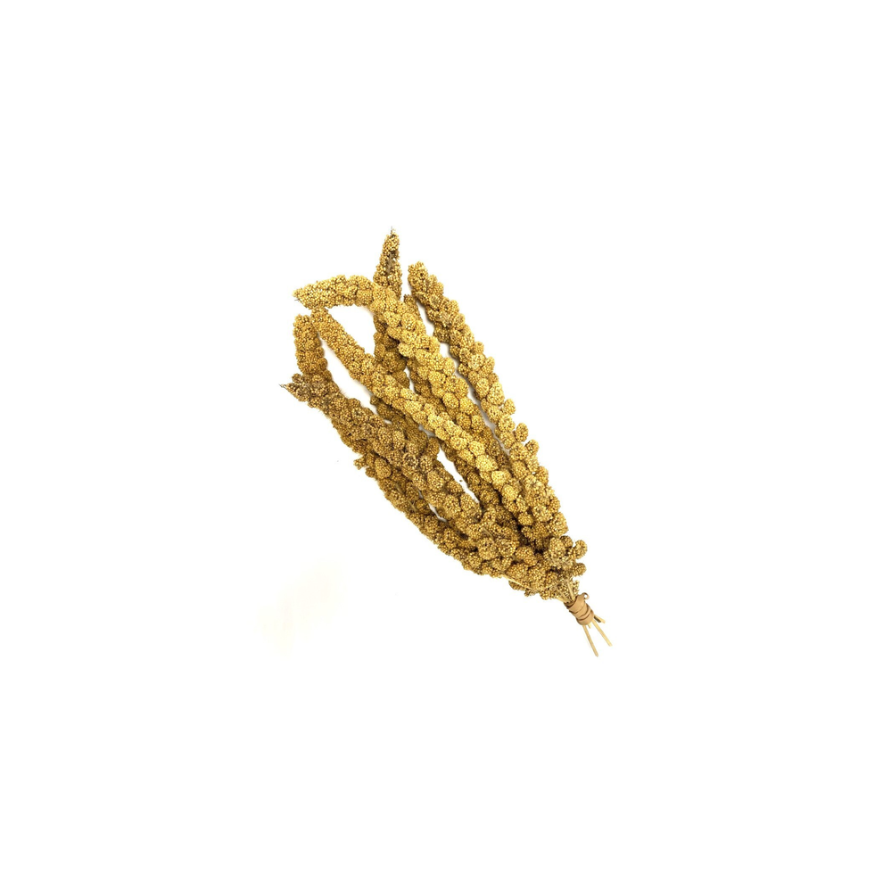 Millet Sprays X 2Kg Premium Aviary Bird Food Sold By Maltbys' Stores 1904 Ltd