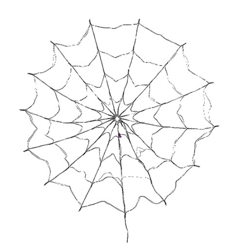 (B) Spider Web Light for Halloween Decoration with LED Lights and Remote Control, 150cm Diameter