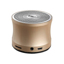 (Gold) Enceinte Bluetooth portable en métal EWA A109 Pro, étanche IPX5, Bluetooth 5.0 avec son stéréo Hi-Fi à 360, portée de 10 mètres.
