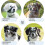 (Grey, M) Dog Muzzle with Head Strap, Padded and Durable for Medium Dogs, Adjustable Fit 3