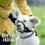 (Blue, XS) Dog Muzzle with Head Strap, Padded and Durable for Medium Dogs, Adjustable Fit 4