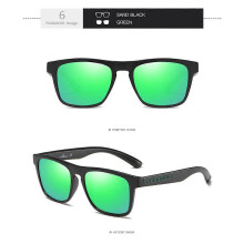 (F) PARANOID Unisex Polarized Sports Sunglasses, UV400 Protection TAC Lenses Plastic Frame for Outdoor Fishing Driving Hiking Camping 8816