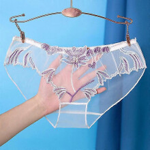 (white, L) Women's Nylon Mesh Seamless Lace Trim Transparent Breathable Briefs Knickers, S-XL, Colour as Displayed, Hand Wash Recommended