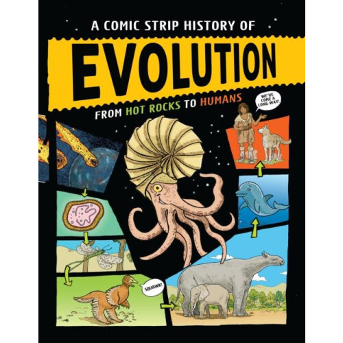 Comic Strip History of Evolution by Anna Claybourne Paperback Book