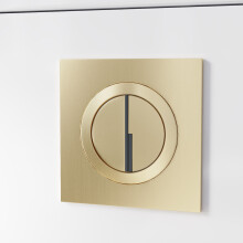 Nes Home Brushed Brass Round WC Push Button