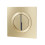 NES Home Nes Home Brushed Brass Round WC Push Button 2