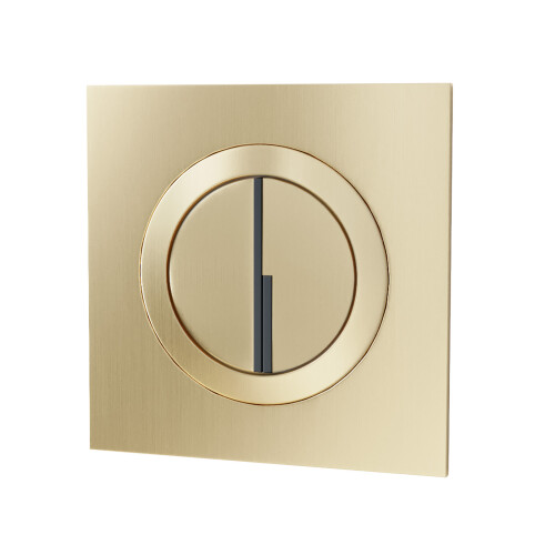 NES Home Nes Home Brushed Brass Round WC Push Button 1