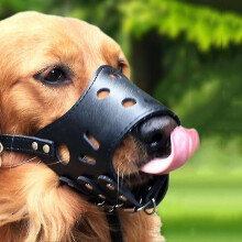 (Black, XS) Muilkorf voor honden, leer, gewatteerd, geschikt voor alle seizoenen, ademend ontwerp, effen kleur