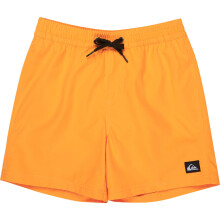 (XS, Radiant Yellow) Quiksilver Kids Everyday Volley 14" Swim Shorts