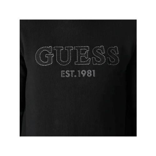 Guess (122, 701) Beau 2