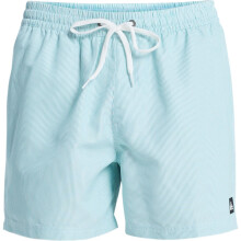 (M, Aqua) Quiksilver Mens Everyday Deluxe 15" Swim Shorts