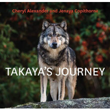 Takayas Journey by Cheryl Alexander Hardcover Book