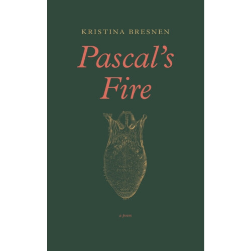 Pascals Fire by Kristina Bresnen Paperback Book