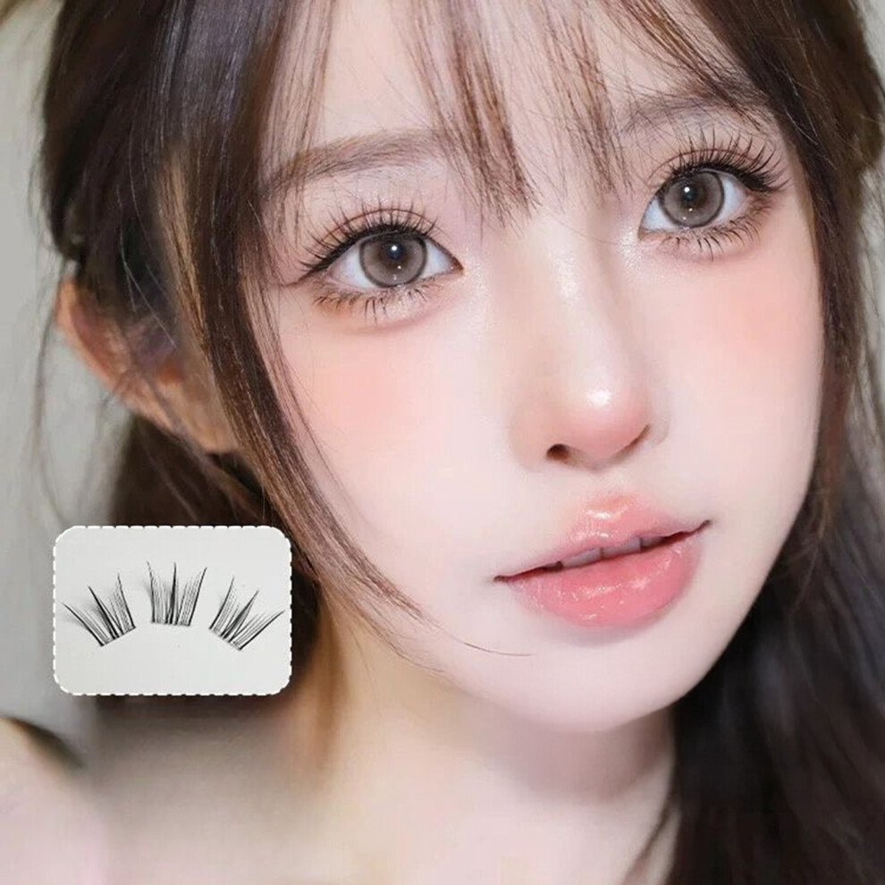 Roc-Electron Natural False Eyelashes C Curl, No Glue Needed