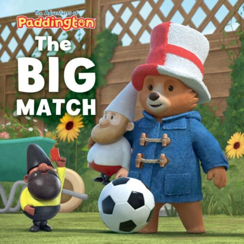 Big Match by HarperCollins Childrens Books Paperback Book