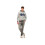 Superdry (2233, 706) Flyers Script 2