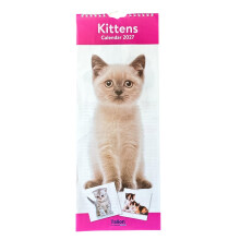 2027 Slimline Wall Calendar Month to View 41cm x 16cm - Kittens