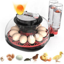 Incubator for Hatching Eggs-Eggs Capacity, Auto Egg Turner & New Auto