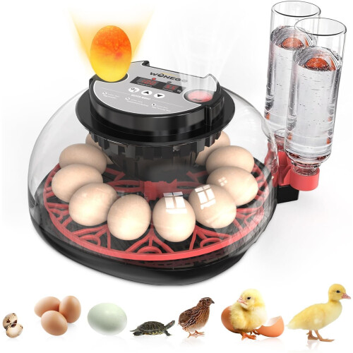 Incubator for Hatching Eggs-Eggs Capacity, Auto Egg Turner & New Auto