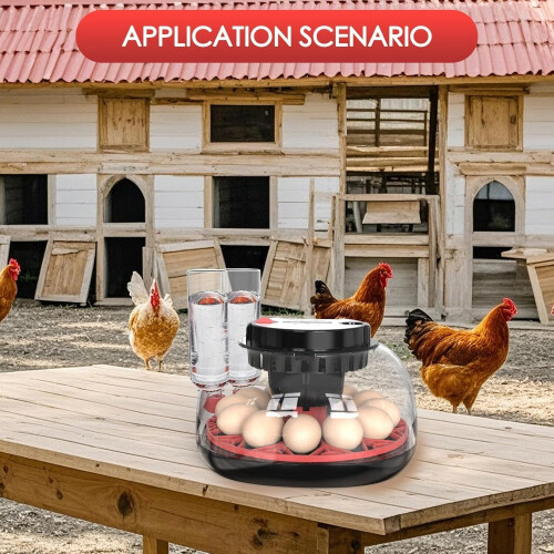 Incubator for Hatching Eggs-Eggs Capacity, Auto Egg Turner & New Auto 1