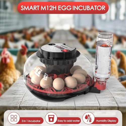 Incubator for Hatching Eggs-Eggs Capacity, Auto Egg Turner & New Auto 2