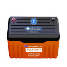 ECO-WORTHY 12V 100AH LiFePO4 Lithium Battery with Battery Status