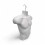 Male Half Body Form Mannequin –Durable Plastic Display with Hollow Back & Hangin 3