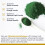 Premier Research Labs Premier Research Labs Medi Chlorella-FX 120 Veg Capsules 3