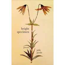 Bright Specimen by Julie Poole Paperback Book